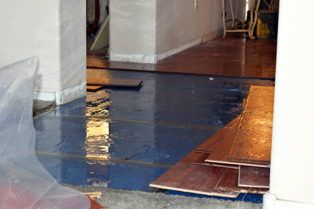 Professional Basement Water Removal technician working in Disney, OK